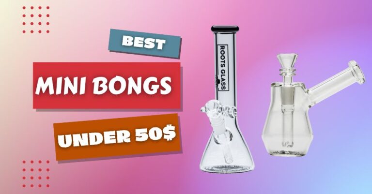 best mini bongs under $50